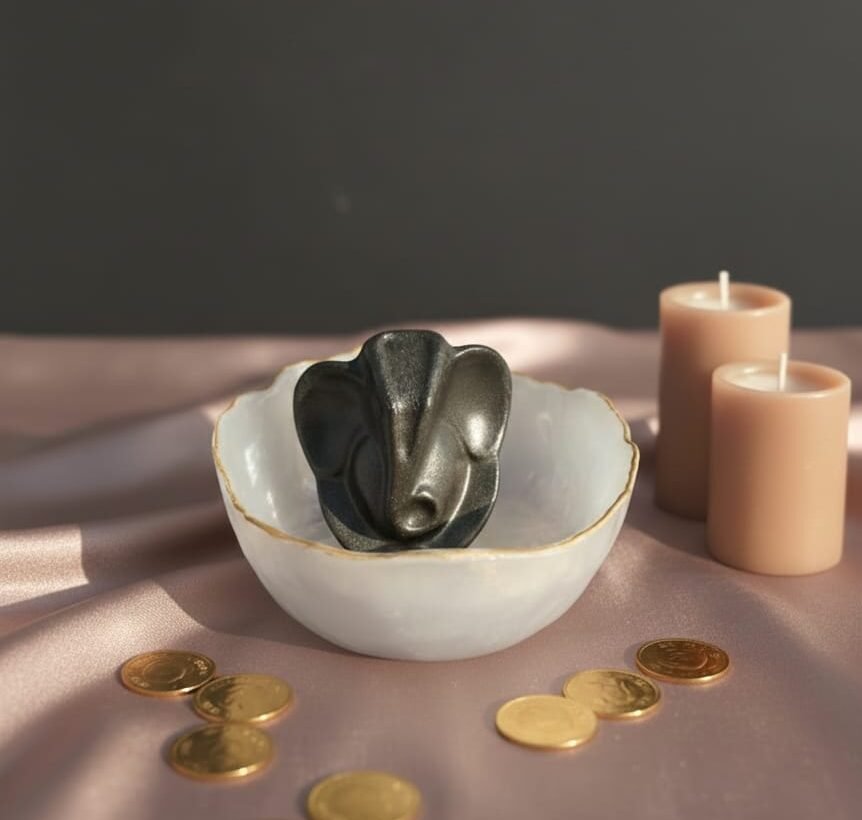 WhatsApp Image 2026-01-07 at 1.15.53 PM